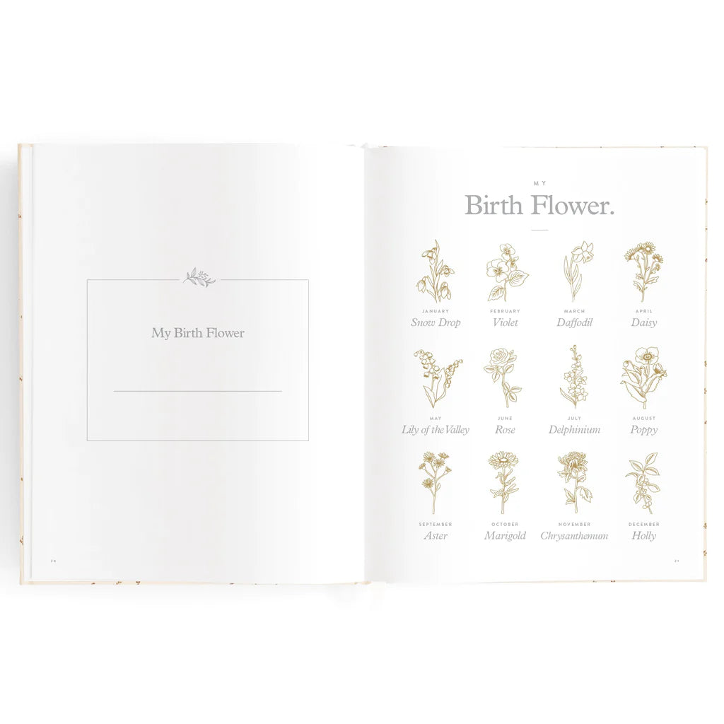Baby Book Years 0-6 Forest Friends Sage | Keepsake 2nd Edition