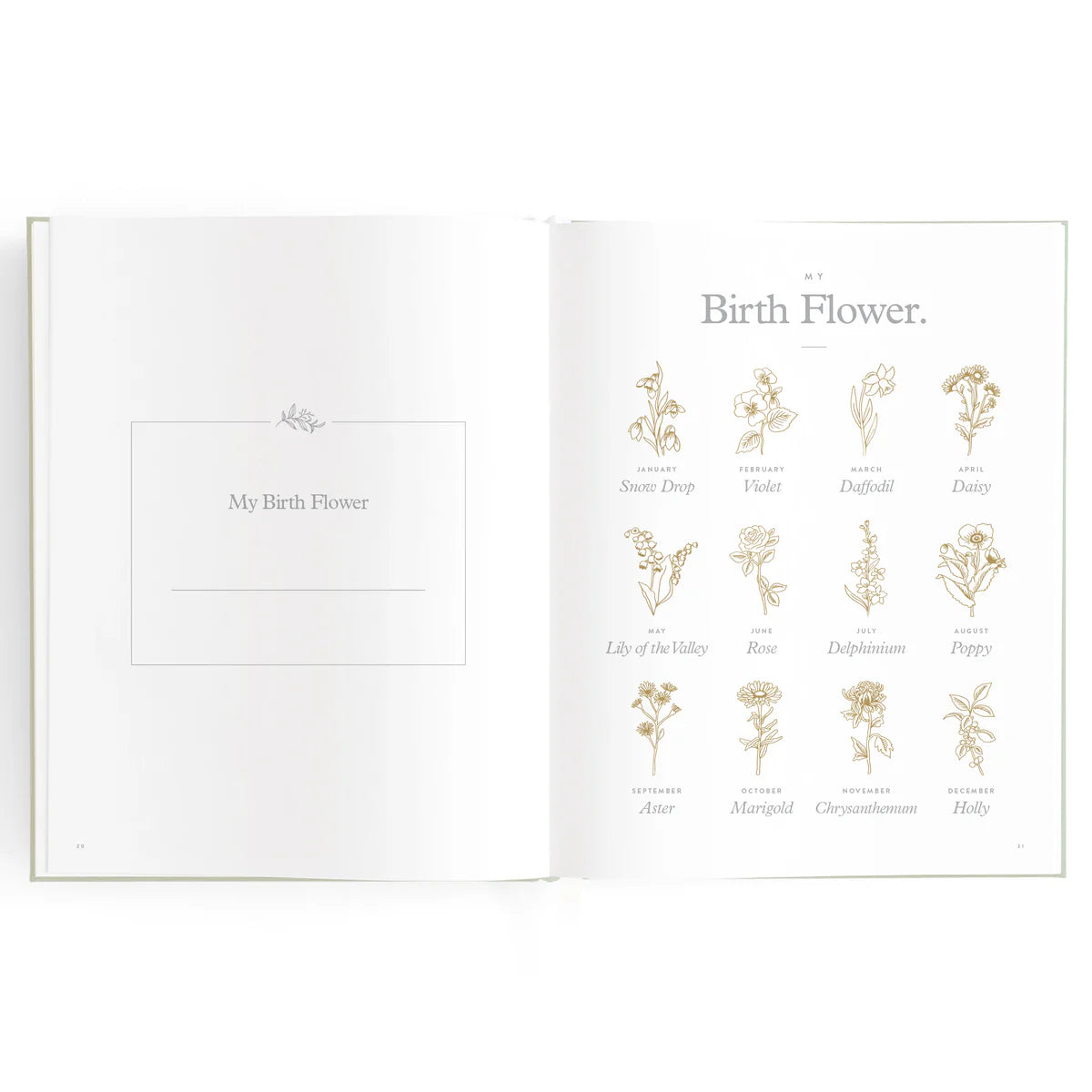 Baby Book Pistachio 0-6 Years | Keepsake 3rd Edition