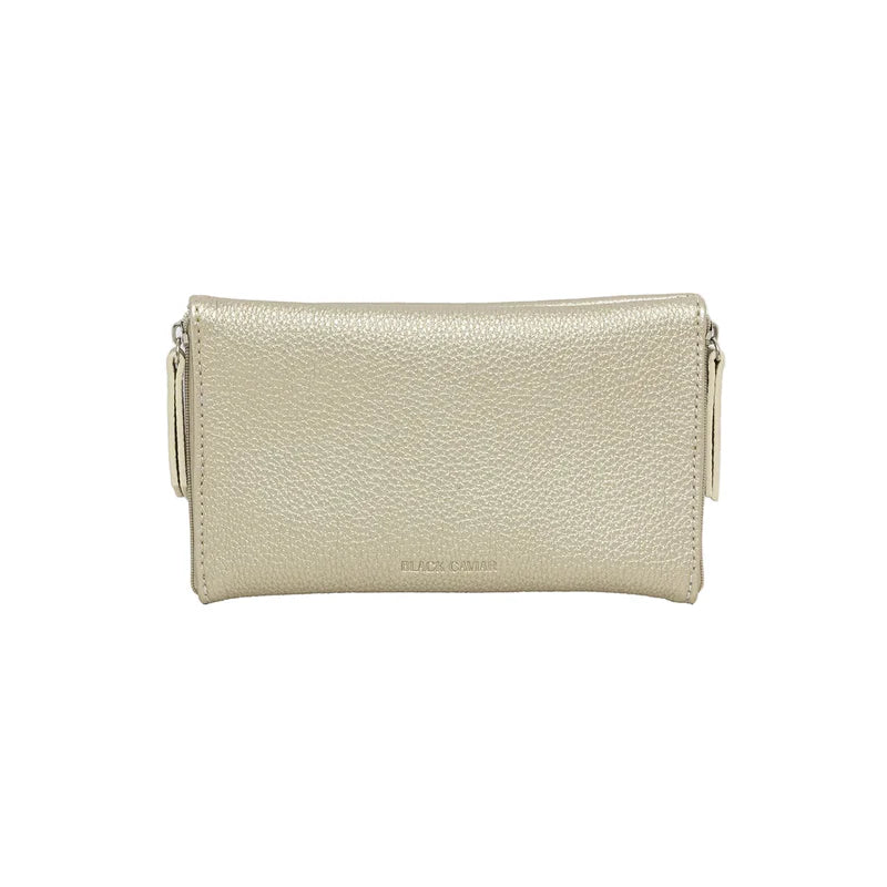 Gemini Sunglasses Case