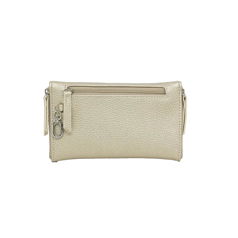 Gemini Sunglasses Case