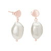 Halcyon Small Pearl Earrings | Rose Gold Plate