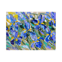Hardback Placemat Collections By Amanda Brooks