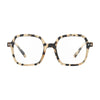 Reading Collection O | Light Tortoise