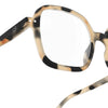 Reading Collection O | Light Tortoise