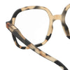 Reading Collection O | Light Tortoise