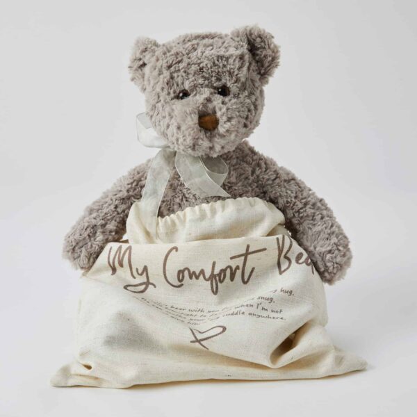 Darcy the Comfort Bear