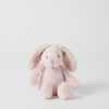 Small Bunny