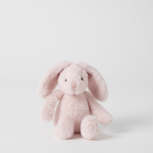 Small Bunny