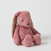 Floral Raspberry Bunny