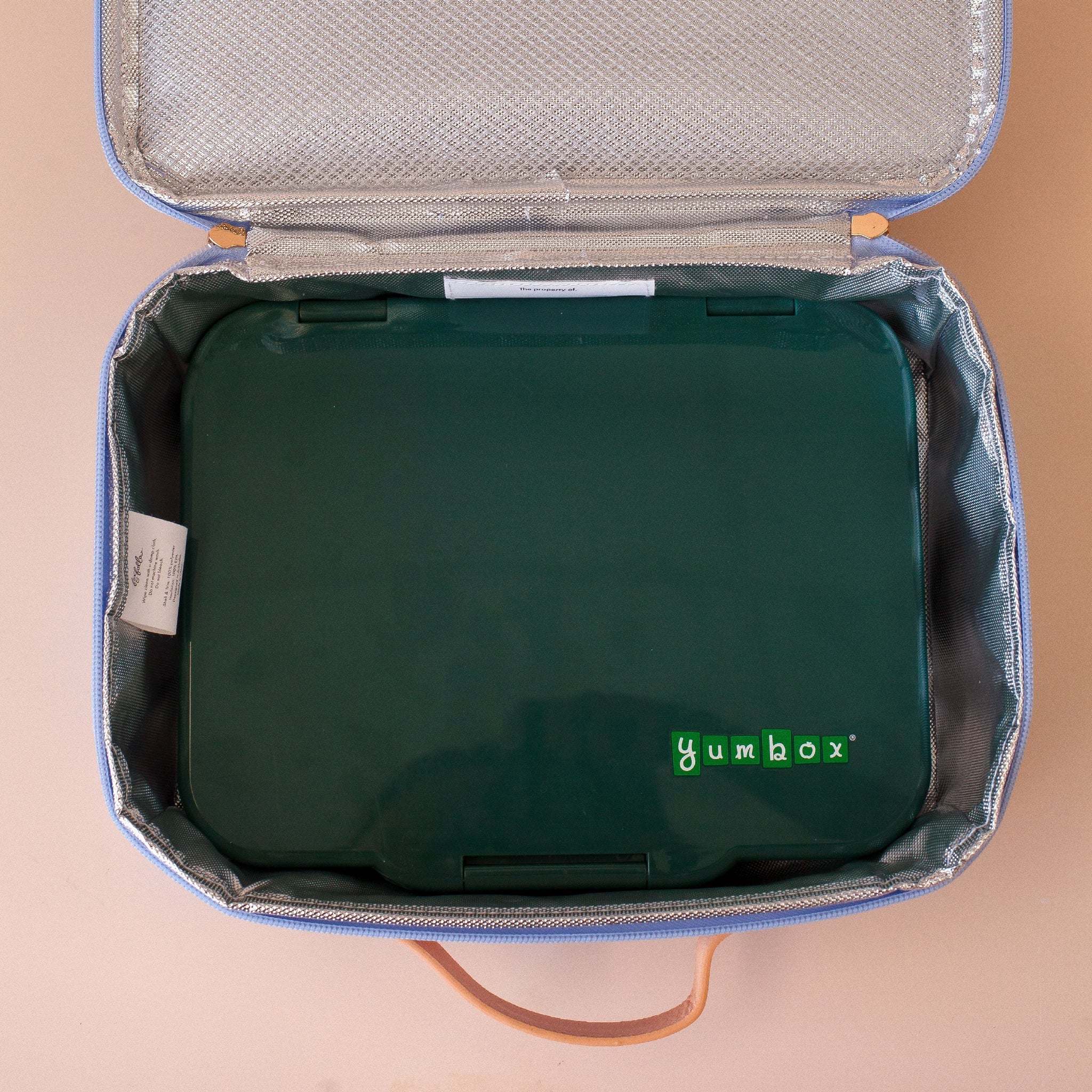 Tulips Large Lunch Bag