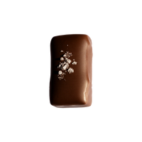 Salted Caramel Shortbread Single Chocolate