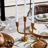 Eve Gold Candle Stand / Candelabra