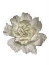 Paper Flower | Primrose XL