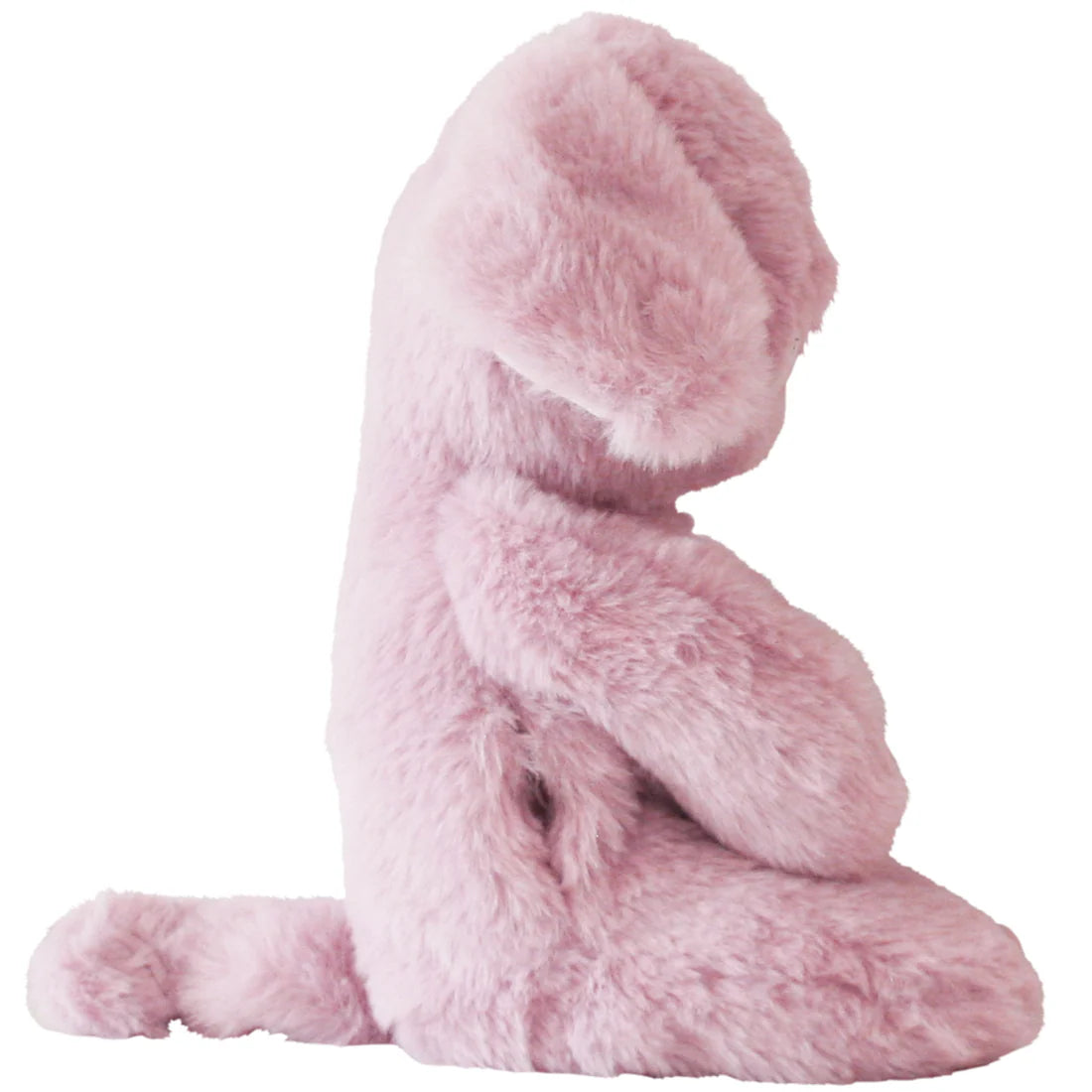 Plush Piggy Toy