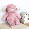 Plush Piggy Toy