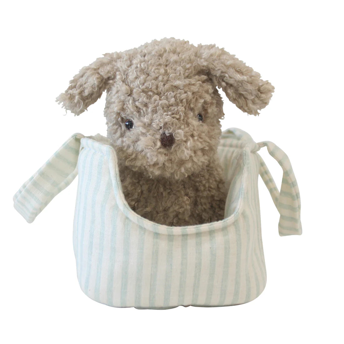 Puppy in Carrier 'Biscuit'