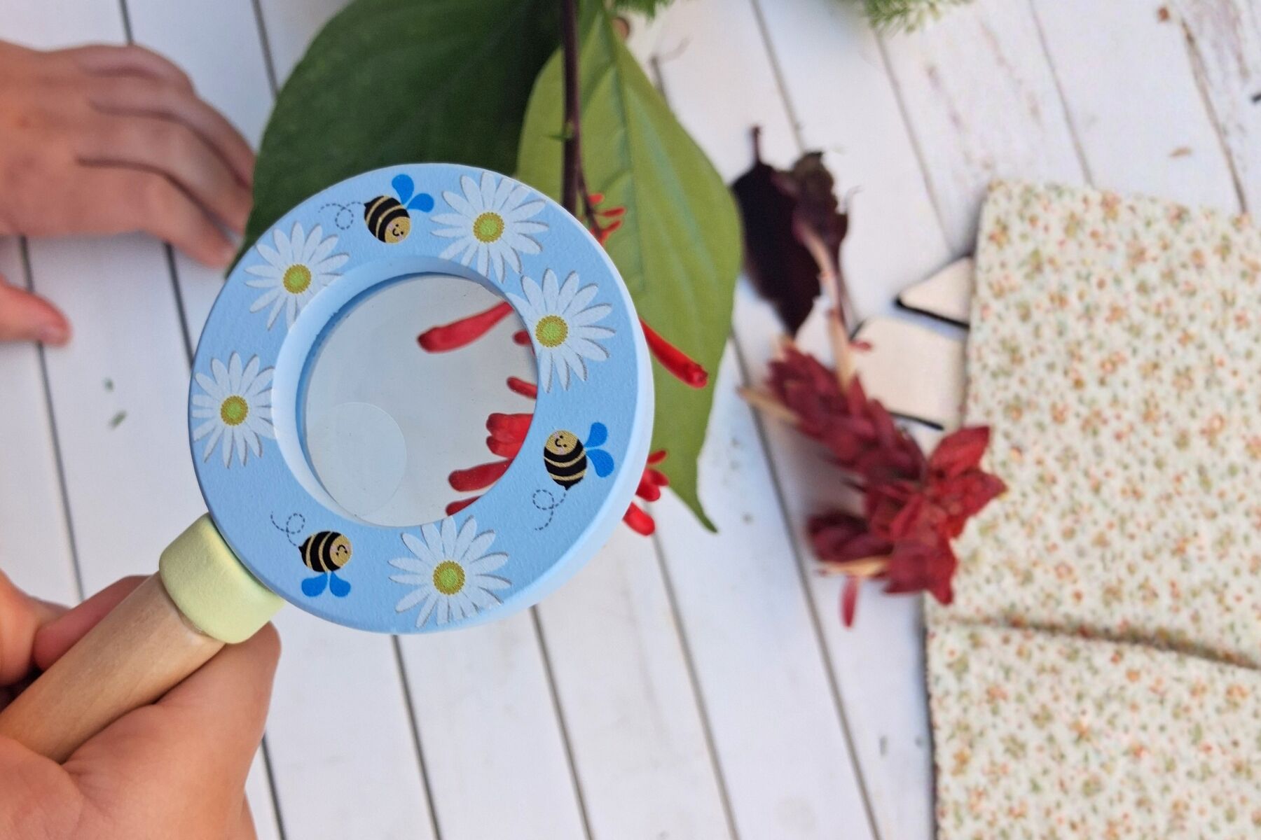 Aussie Backyard Wildlife Magnifying Glass