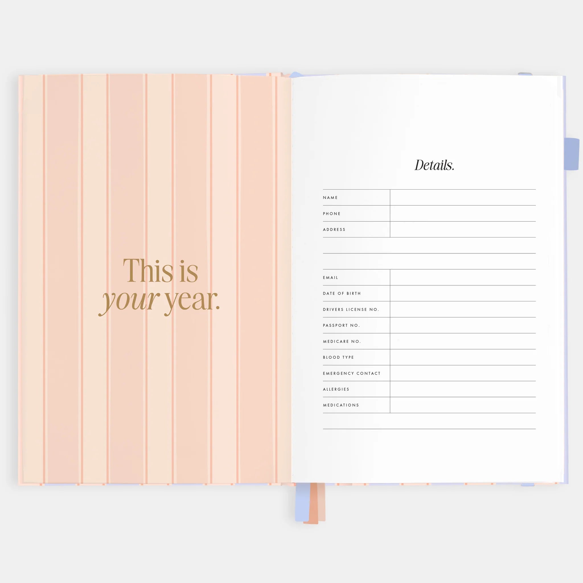 2026 A5 Academic Vertical Planner | Powder Stripe