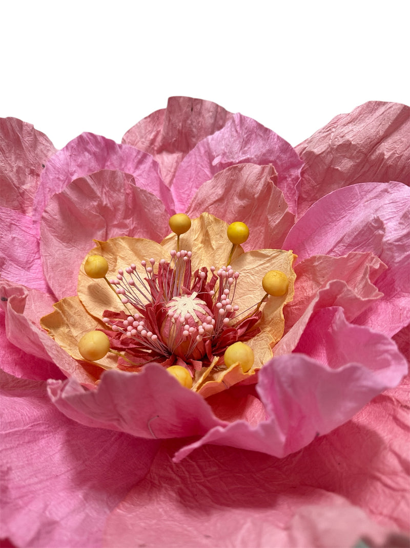 Paper Flower | Poppy LL
