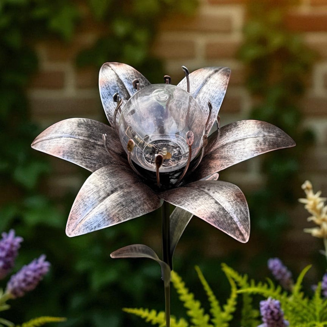 Lily Solar Light