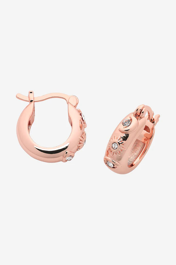 Rumi Rose Gold Earring