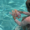 Dive Buddies | Melody The Mermaid Multi