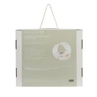 Interactive Baby Float | Duck Sage Stripe