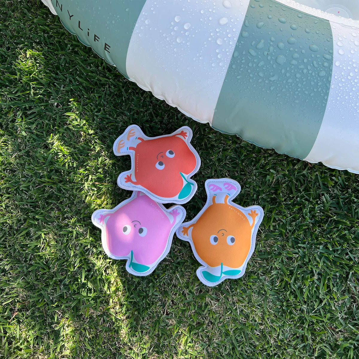 Dive Buddies Poppy the Peach Multi Set of 3