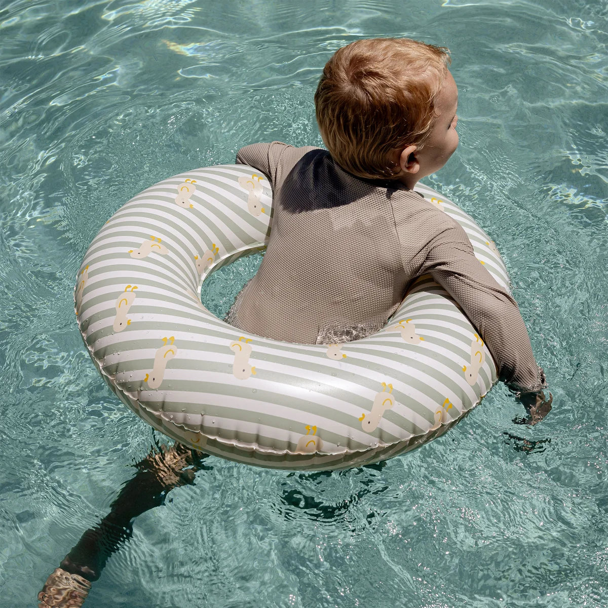 Mini Tube Pool Ring Dex the Duck Multi