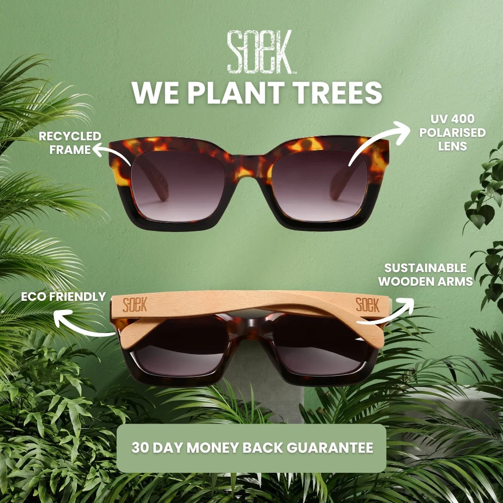 Flutter Desert Tort Sunglasses l Brown Lens l White Maple Arms