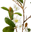 Magnolia Pearl Spray | White