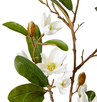 Magnolia Pearl Spray | White
