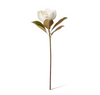Magnolia Flower Classic Stem