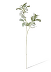 Lambs Ear Leaf Spray | Grey/Green