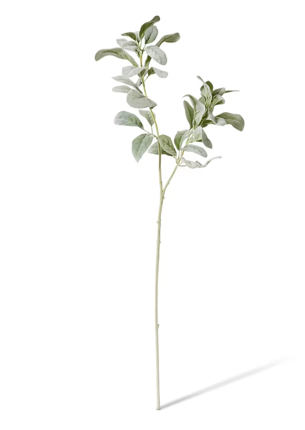 Lambs Ear Leaf Spray | Grey/Green