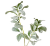 Lambs Ear Leaf Spray | Grey/Green
