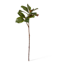 Magnolia Classic Leaf Spray | Green