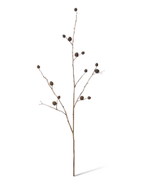 Berry Pod Dried Look Branch | Dark Brown
