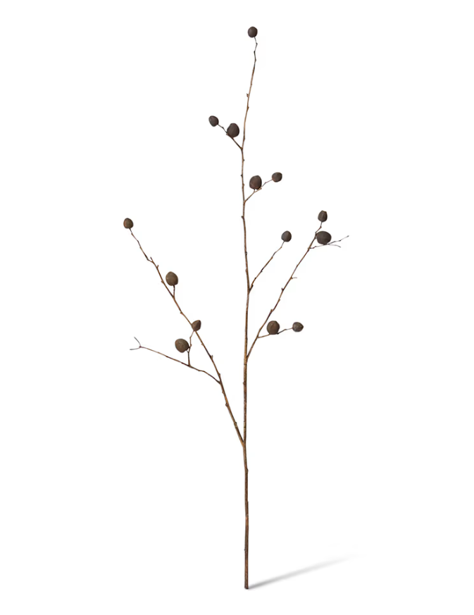 Berry Pod Dried Look Branch | Dark Brown