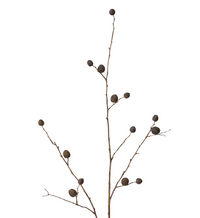 Berry Pod Dried Look Branch | Dark Brown