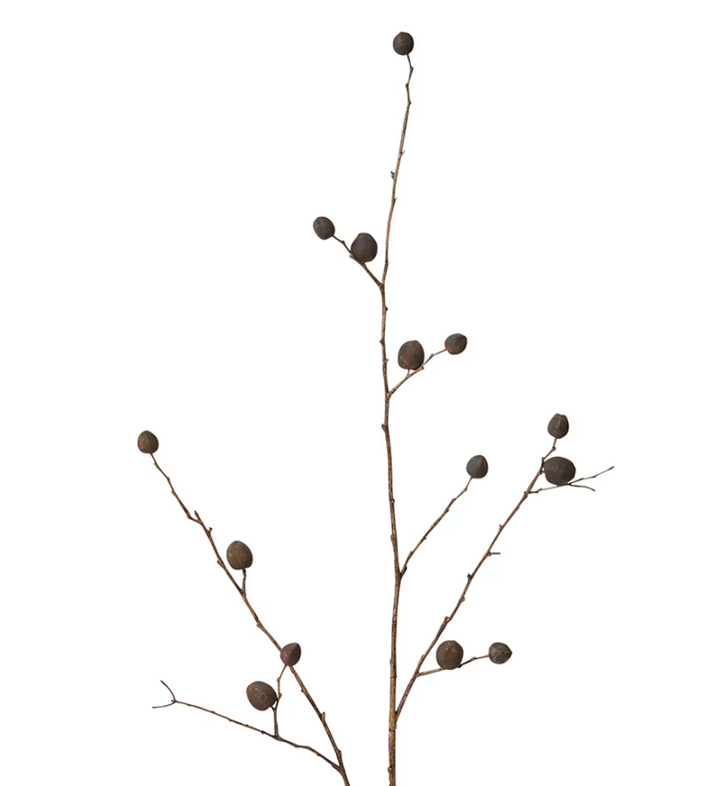Berry Pod Dried Look Branch | Dark Brown