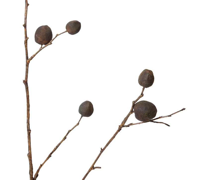 Berry Pod Dried Look Branch | Dark Brown