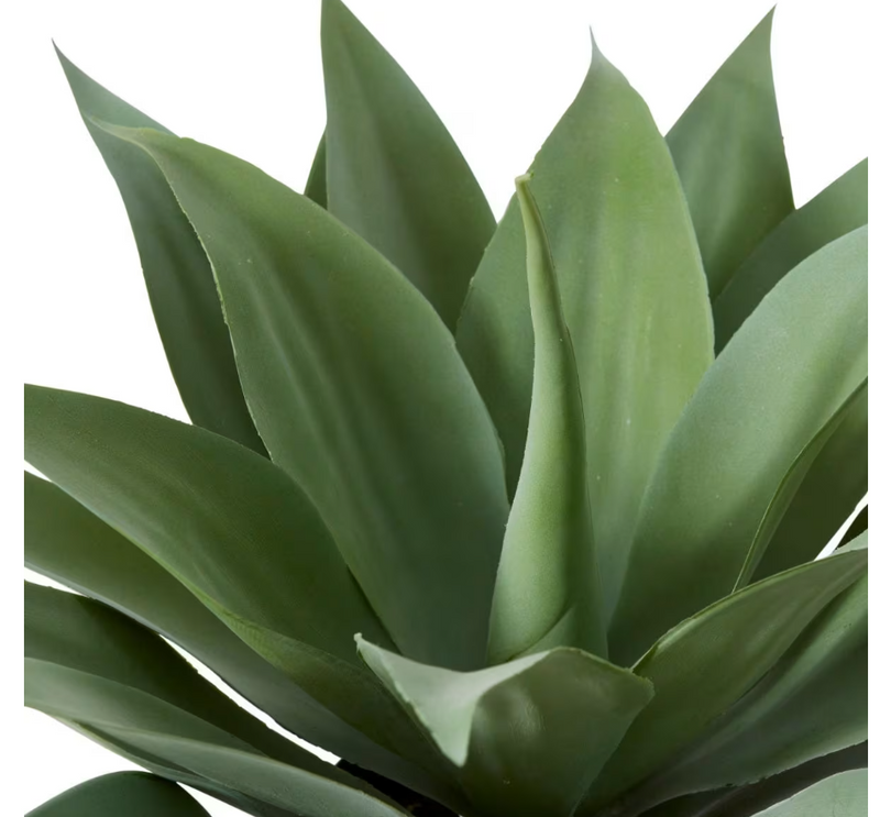 Agave Potted | Grey Green