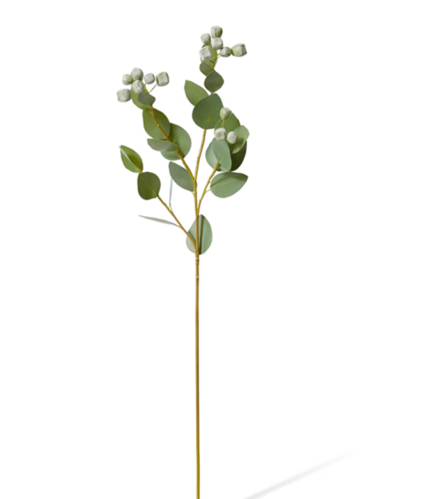 Eucalyptus Seed Pod Spray