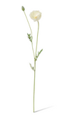 Poppy Spray | White