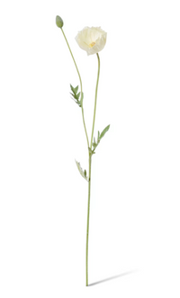Poppy Spray | White