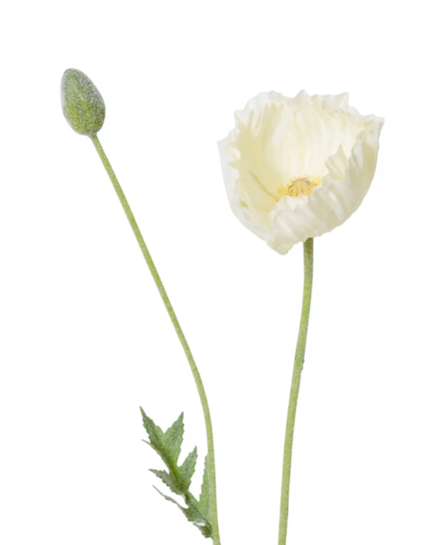 Poppy Spray | White