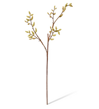 Magnolia Budding Stem | Natural