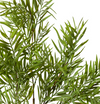 Grevillia Bush | Green