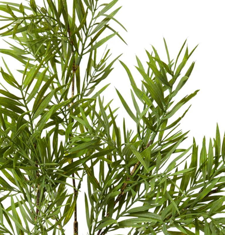 Grevillia Bush | Green